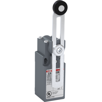  FIN DE COURSE LS31P51B11 