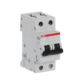  DISJ S202L 2P 16A COURBE C RAC 