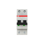  DISJ S202 2P 6A COURBE B RACCO 