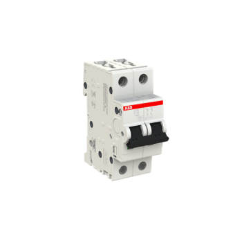  DISJ S202 2P 10A COURBE C RACC 