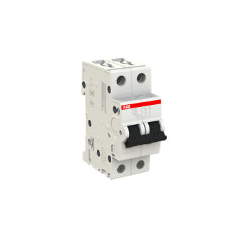  DISJ S202 2P 20A COURBE C RACC 