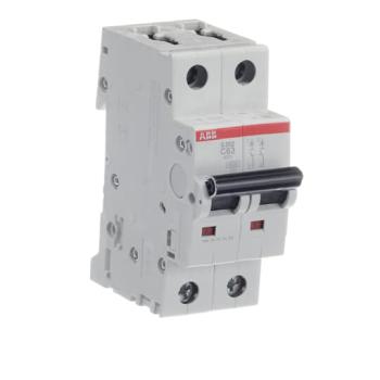  DISJ S202 2P 63A COURBE C RACC 