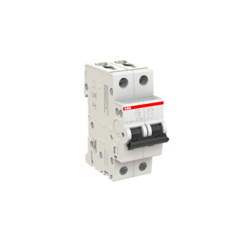  DISJ S202 2P 3A COURBE K RACCO 