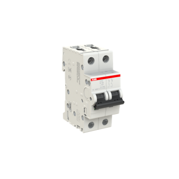  DISJ S202 2P 4A COURBE K RACCO 