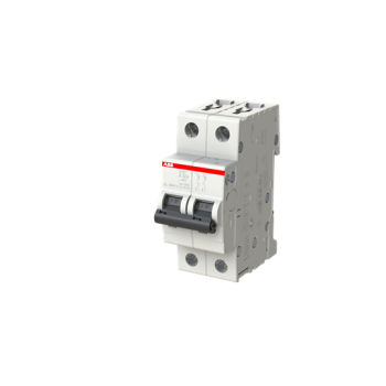  DISJ S202 2P 32A COURBE K RACC 