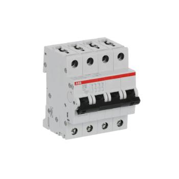  DISJ S204 4P 16A COURBE C RACC 