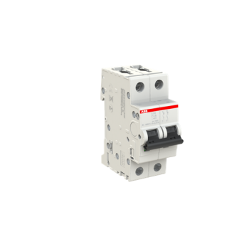  DISJ S202 2P 4A COURBE Z RACCO 