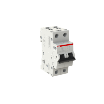  DISJ S202 2P 20A COURBE Z RACC 