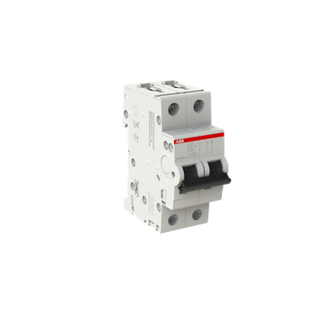  DISJ S202 2P 25A COURBE Z RACC 