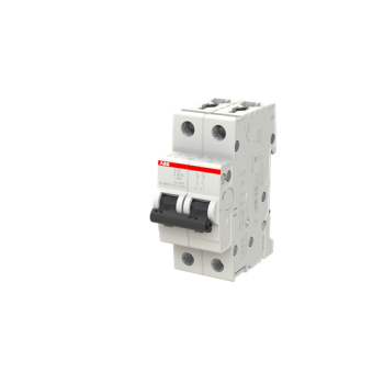  DISJ S202 2P 50A COURBE Z RACC 