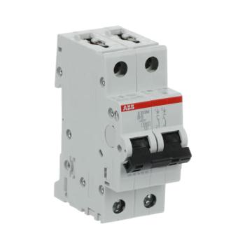  DISJ S202M 2P 6A COURBE B RACC 