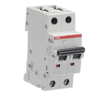  DISJ S202M 2P 6A COURBE C RACC 