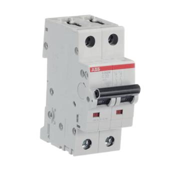  DISJ S202M 2P 32A COURBE C RAC 