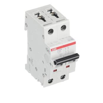  DISJ S202M 2P 50A COURBE C RAC 