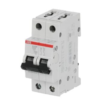  DISJ S202M 2P 63A COURBE C RAC 