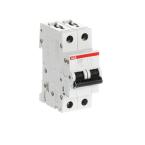  DISJ S202M 2P 25A COURBE D RAC 