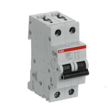  DISJ S202M 2P 63A COURBE D RAC 