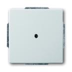  PLAQUE DE RECOUVREMENT STAINLE 