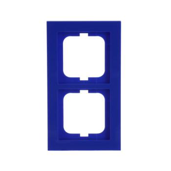  CADRE 2 POUSSOIRS BLEU 