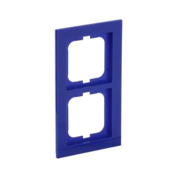  CADRE 2 POUSSOIRS BLEU 