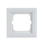  CADRE 1 MODULE BUSCH VERRE BLA 