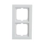  CADRE 2 MODULES BUSCH VERRE BL 