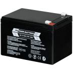  BATTERIE AU PLOMB SCELLEE, 12V 