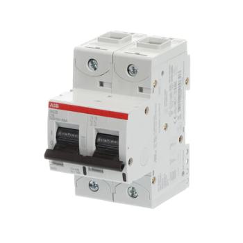  DISJ S802S 2P 16A COURBE C RAC 