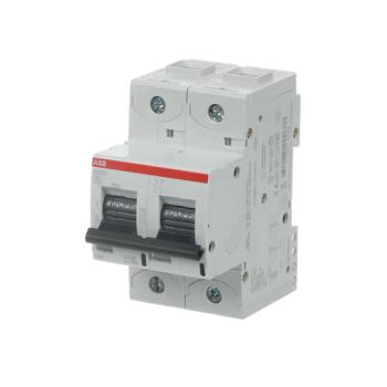  DISJ S802S 2P 63A COURBE C RAC 