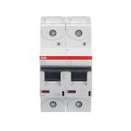  DISJ S802S 2P 10A COURBE D RAC 