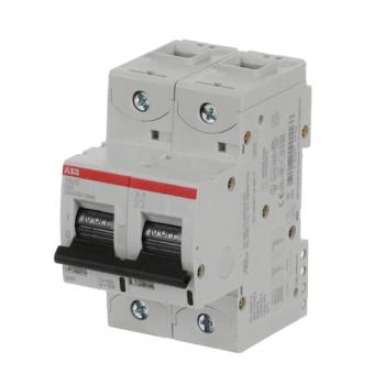  DISJ S802S 2P 63A COURBE D RAC 