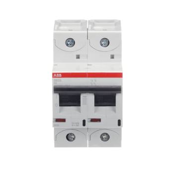  DISJ S802S 2P 6A COURBE K RACC 