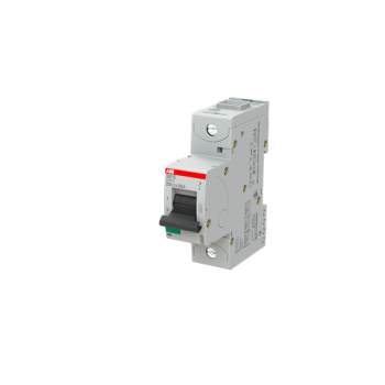  DISJ. 1P S801S UCK 10A 