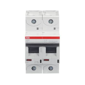  DISJ S802C 2P 10A COURBE K RAC 