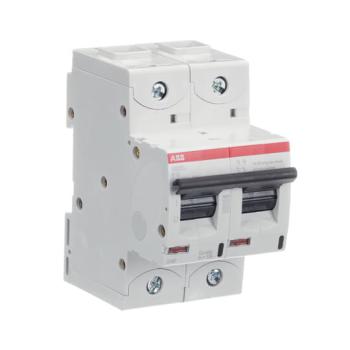  DISJ S802C 2P 10A COURBE K RAC 