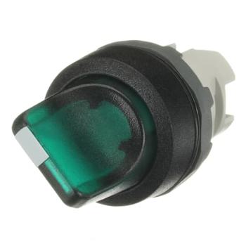  M2SS2-11G BOUTON TOURNANT LUMI 