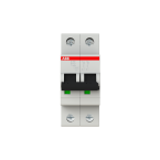  S200 DISJONCTEUR MODULAIRE- 2P 