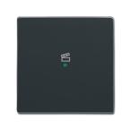  ENJOLIVEUR 1 TOUCHE 1 LED 1 PI 