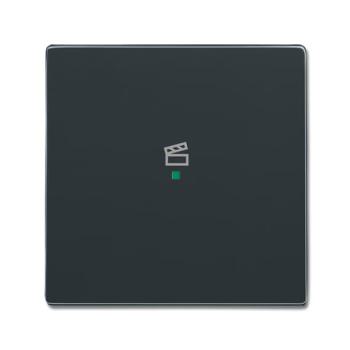  ENJOLIVEUR 1 TOUCHE 1 LED 1 PI 