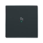  ENJOLIVEUR 1 TOUCHE 1 LED 1 PI 