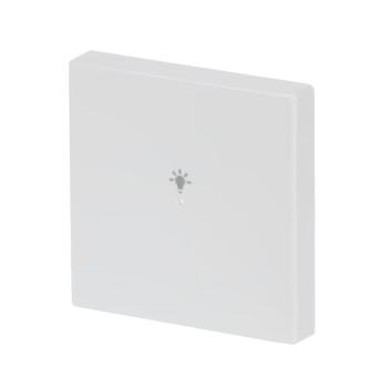  ENJOLIVEUR 1 TOUCHE 1 LED 1 PI 