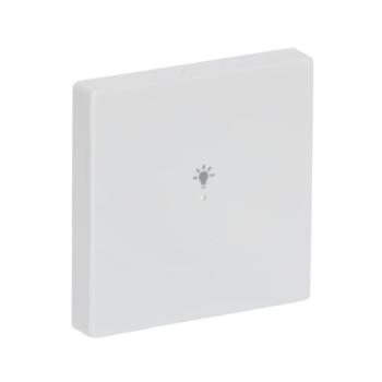  ENJOLIVEUR 1 TOUCHE 1 LED 1 PI 