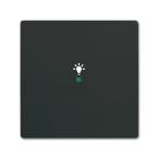  ENJOLIVEUR 1 TOUCHE 1 LED 1 PI 