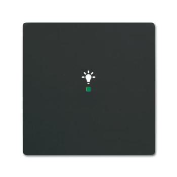  ENJOLIVEUR 1 TOUCHE 1 LED 1 PI 