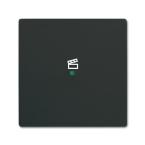  ENJOLIVEUR 1 TOUCHE 1 LED 1 PI 