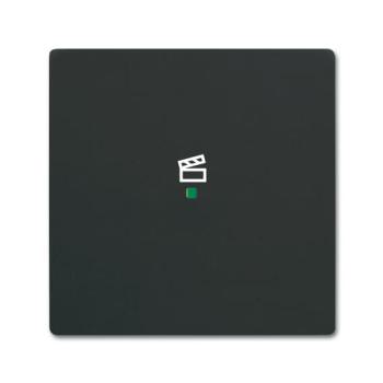  ENJOLIVEUR 1 TOUCHE 1 LED 1 PI 