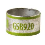  BAGUE INTERIEURE - FERRULE SHI 