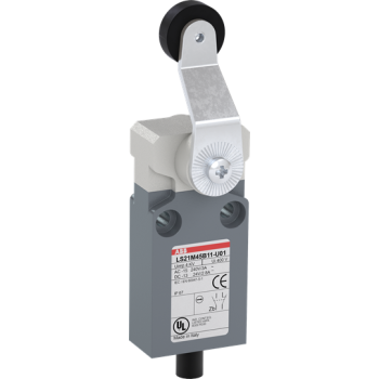  FIN DE COURSE LS21M45B11-U01 