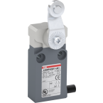  FIN DE COURSE LS20P42B11-U01 