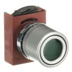  BOUTON POUSSOIR AFFLEURANT LUM 